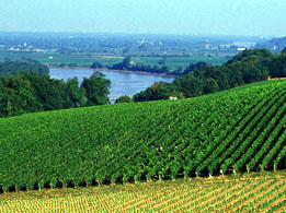 Go on a one day Bordeaux wine tour from Paris