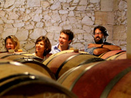 Bordeaux wine tours from Paris: tasting Bordeaux