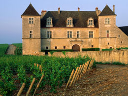 Discover world's greatest Pinot Noir wines in Burgundy