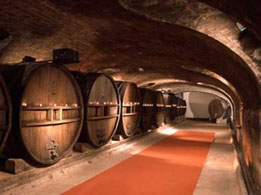 Burgundy wine tours from Paris - Cave Patriarche, Beaune