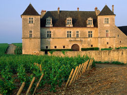 Burgundy wine tours from Paris - Famous Clos de Vougeot