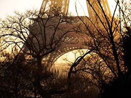 Top Paris attractions: Eiffel Tower