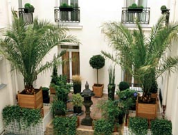 Favorite Paris hotels: Hotel Balzac