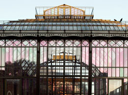 The tropical glasshouse at Paris Natural History Museum