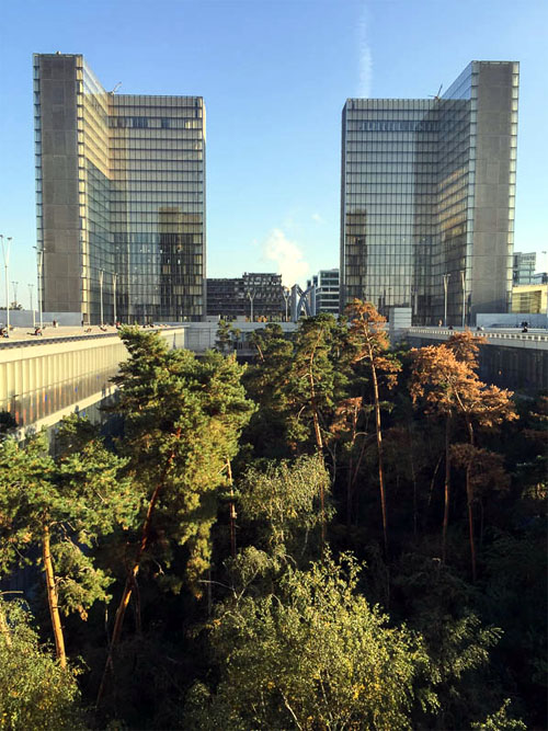The garden of BNF Francois Mitterand