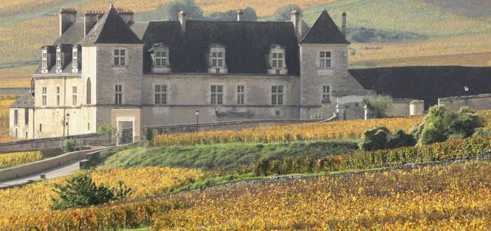 burgundy wine tours