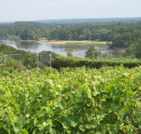 Loire Castles and Wine Tours