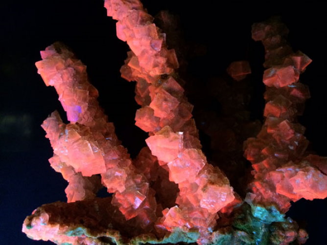 One of the richest mineral collection in the world