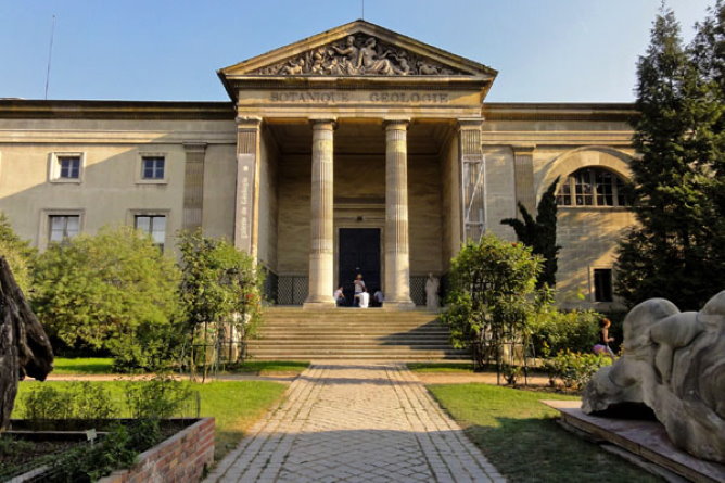 The Museum in Paris